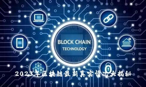 2023年区块链最新真实情况大揭秘